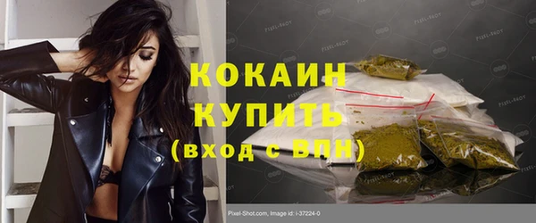 молекула духа Заволжье