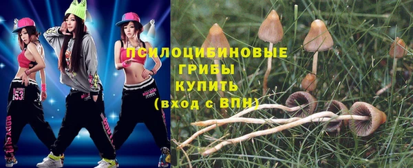 круглые Заволжск