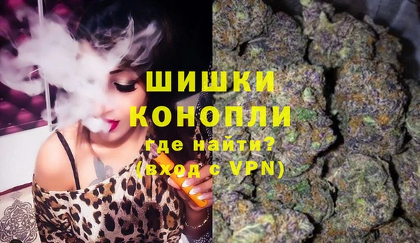 молекула духа Заволжье